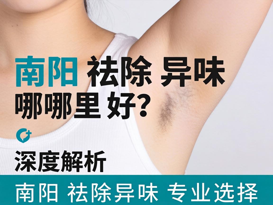 南阳祛除异味哪里好？深度解析南阳祛除异味专业选择