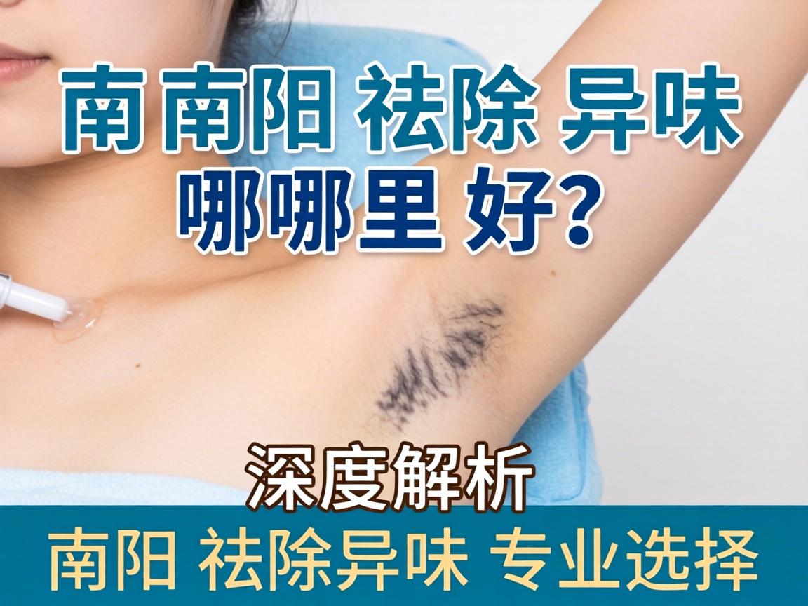 南阳祛除异味哪里好？深度解析南阳祛除异味专业选择